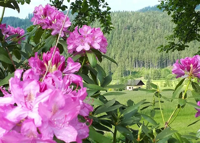 Dom wakacyjny Fuggermuehle Weissberg